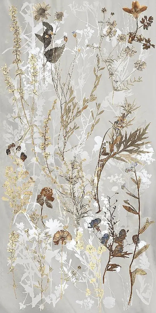 Delicate illustrazioni botaniche di fiori di campo e foglie essiccate in tonalità terrose su sfondo grigio chiaro, ideali per valorizzare il DECORO DA PARETE E/O PAVIMENTO 60X120 di Selvaggio Edilpref S.R.L. con un tocco arioso e naturale.