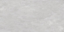 Carica l&#39;immagine nel visualizzatore di Gallery, PAVIMENTO 60X120 DORSET SILVER Selvaggio Edilpref S.R.L.
